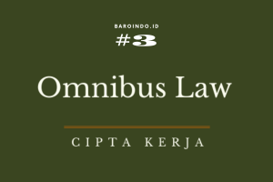 Read more about the article Omnibus law Kembalikan Sentralistik Penataan Ruang